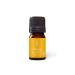 Aromatics International Niaouli Essential Oil ct. 1 8-Cineole (Melaleuca quinquenervia) Madagascar | Steam Distilled | 5 ml