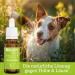 Buy BELISY Lice & Fleas Bach Flower Drops for Dogs & Cats - 20ml - Natural Treatment for Fleas & Lice - International Shipping - Buy Online on GoSupps.com