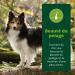 EQUILIBRE & INSTINCT - Adult Dog - Poultry Wet Food Pat - Optimal Digestive Transit - Complete Recipe Formulated with Veterinarians - 9x300g - Made in France - Buy Online on GoSupps.com