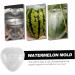 Gadpiparty Vegetables Fruit Growing Heart Mould Watermelon Grow Mold Cooking Utensils Modeling Ginseng Fruit 17x17cm Transparent - Buy Online on GoSupps.com