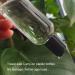 3.4 Oz Clear TSA Approved Travel Bottles - Set of 6 | Refillable Plastic Containers for Shampoo & Lotion - Buy Online on GoSupps.com