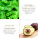 KARLOR Eye Masks Avocado 60 Pieces Eye Pad Avocado Eye Pads Hydrate Eye Masks Green Moisturising Eye Gel Eye Patches Against Eye Ring Wrinkle Bags Puffiness (with Spoon) - Buy Online on GoSupps.com