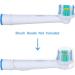 4-Piece Electric Toothbrush Covers - Clear Protective Case for Home Camping & Travel - Buy Online on GoSupps.com