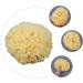 Buy Healeved Body Loofah Foams - Best Shower Puff & Scrubber for Cleaning | International Shipping - Buy Online on GoSupps.com
