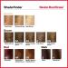 Revlon Permanent Hair Color Dye - Light Brown (6) - 3.2 Fl Oz - 100% Gray Coverage - Buy Online on GoSupps.com