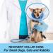 Vivifying Adjustable Pet Collar for Puppies & Small Dogs | Lightweight Protective Collar (Blue-L 20-24.5 cm) - Buy Online on GoSupps.com