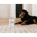 Simply Unleashed White Treat Container with Bamboo Lid - 98 oz | Dog and Cat Storage - Buy Online on GoSupps.com