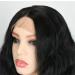 Short Curly Black Brown Wig 14/16 inch | Heat-Resistant Synthetic Hair | Perfect for Cosplay & Parties | Stylish Women's Wig Cap - Buy Online on GoSupps.com