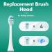 Replacement Brush Head for Philips Sonicare Electric Toothbrush - Compatible Toothbrush Heads for ProtectiveClean & DailyClean Models - Buy Online on GoSupps.com