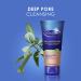 Noxzema Ultimate Clear Daily Deep Pore Oil-Free Cleanser - 6 Oz Ea (Pack of 2) - Buy Online on GoSupps.com