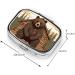 Rustic Lodge Bear Pill Box - 2 Compartment Travel Organizer | Cute Small Pill Case for Purse & Gifts - Buy Online on GoSupps.com