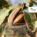 TKB Sweet Almond Oil - Ideal for Soapmaking Lip Care Massage Scrubs & Lotions - Made in USA (8 fl oz - Buy Online on GoSupps.com