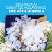 Solup 4 kg Magnesium Chloride Flakes | 100% Natural Magnesium Bathing Salt | Ideal for Magnesium Deficiency Relief - Buy Online on GoSupps.com