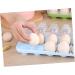 JOINPAYA Refrigerator Egg Trays Refrigerator Egg Storage Organizer Egg Holder for Fridge Egg Tray Storage Box Food Egg Plate - Buy Online on GoSupps.com