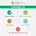 Buy Cactus-Free Oil - Pure & Natural Cold Pressed Anti-Aging Skin & Hair Care - 10 ml Pack - Buy Online on GoSupps.com