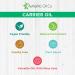 Pure Cabbage Oil 50ml - Cold-Pressed Herbal Cosmetics for Hair & Skin Care | Natural & Organic - Buy Online on GoSupps.com