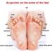 Chinese Medicinal Wormwood Foot Soak - 100 Bags for Relaxing Feet Spa - Buy Online on GoSupps.com