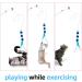 Cobee Interactive Cat Spring Toys with Bobble Ball & Bell - Soft Training Toys for Kittens - Blue - Buy Online on GoSupps.com