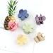inSowni 20 Pack Small Plastic Flower Hair Claws Clips Barrettes - Nonslip Strong Hold Hair Accessories for Women, Girls, Teens, Kids - Buy Online on GoSupps.com