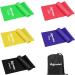 Allvodes Resistance Bands Set - 5 Latex Exercise Bands with Carrying Pouch | 5 Resistance Levels for Home Workout, Strength Training, Yoga & Pilates - Buy Online on GoSupps.com