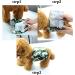 Hisprout Male Dog Diapers - Reusable Washable Durable & Absorbent Cloth Puppy Diaper Pants (DDMM06) - Perfect Fit for a Good Night's Sleep - Buy Online on GoSupps.com