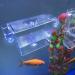 Acrylic Aquarium Breeder Box | Fish Tank Separator for Breeding Baby Fish | Fry Tank for Shrimp, Guppy, Clownfish | Aggressive Fish Hatchery - Buy Online on GoSupps.com