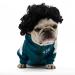 Funny dog wig cat role play wig Halloween Christmas parties firm for pets wig small medium and large dogs wig (black wig)