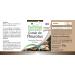 Fairvital | Oyster mushroom extract 500mg VEGAN - Highly dosed - 90 capsules - mushroom extract standardized to polysaccharides 30% - Buy Online on GoSupps.com
