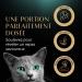 Sheba Perfect Portions for adult cats Trays Wet food Luxury salmon terrine 6x37 PACK OF 8 - Buy Online on GoSupps.com