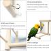 Fainfun Bird Mirror with Perch - 10x10 cm Budgie Toy Wooden Bird Stand with Mirror for Parrots Pigeons & Canaries - Buy Online on GoSupps.com