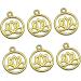 VILLCASE 200 Pcs Charms Lotus Flower Crafts Making Hat Base for Making Hats Flower Charms Lotus Charm Side Release Buckle Buddha Charms for Lotus Bracelet Charms Yoga Charms Pendant Jewelry - Buy Online on GoSupps.com