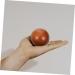 Buy Inoomp 2-Piece Health Ball Handball - Durable & Perfect for Strength Training | International Shipping Available - Buy Online on GoSupps.com