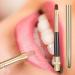 2 Pcs Retractable Lip Makeup Brush Portable Lip Brush Travel Makeup Brushes Lip Brush for Lipstick and Lip Contour - Buy Online on GoSupps.com