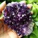 Natural Brazilian Amethyst Cluster Quartz Crystal Specimens Ornament Home Decor Natural Stones and Minerals - Buy Online on GoSupps.com