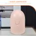Minkissy Menstrual Cup Case - 2 Pieces Travel Storage Box | Pink Rose Menstrual Disc Cleaner - Buy Online on GoSupps.com