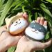Buy Teng Hong Hui Myopie Lens Box - Small Cosmetic Contact Lens Holder for Travel | Shop Internationally - Buy Online on GoSupps.com