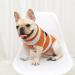 Round Neck Dog Sweater for Small Dogs | Cute & Warm Soft Pet Clothes - Orange S (82W928) - Buy Online on GoSupps.com