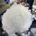 Crystal Rough Specimen Healed Natural Clear Quartz Crystal Cluster Minerals for Reiki Stone Home Furnishing Decoration As a Gift (Size : 300-350g) - Buy Online on GoSupps.com