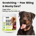Doggy Dailies Probiotics for Dogs - Canine Supplements for Digestive and Immunity Support - Skin Health and Itch Support - Vitamin Treats - Veterinarian Formulated Probiotic 180 Count (Pack of 1) - Buy Online on GoSupps.com