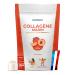 NUTRI & CO Collagene Marin Poudre Types 1 2 3 + Vitamine C Brevet Naticol & Cartydiss Peau Hydrat e Soutien Articulaire Peptides Hydrolys s 2000 DA 540g Go t Neutre 90jrs (P che)