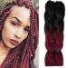 Braid's Art: Premium Real Hair Clip-In Extensions for Beautiful Braids | International Shipping Available - Buy Online on GoSupps.com