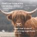 Grass Fed Beef Liver Capsules - 100% Pasture Raised Supplement No Fillers 120 Count - Boost Iron & Energy 3 000mg Serving - 30-Day Supply - Buy Online on GoSupps.com
