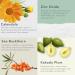 Buy Baie Botanique Soleil SPF 50 - Organic Non-Toxic Sunscreen for Face & Body | Vegan Reef Safe Natural Ingredients - Sea Buckthorn & Calendula - Buy Online on GoSupps.com