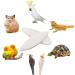 50 Pcs Bird Cuttlebone Toys 5-7cm Cuttlefish Bone Bird Cuttlebone Toys Natural Chewing Cuttlefish Bones Parrot Chew Calcium Toy for Pet Parakeets Budgies Tortoises - Buy Online on GoSupps.com