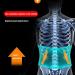Tiiffy Lordosis Support Belt Breathable Back Pain Relief for Herniated Disc & Sciatica Self-Heating XXL for Men & Women - Buy Online on GoSupps.com