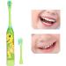 Children's Electric Toothbrush - Fun Cartoon Pattern Green | Oral Care for Kids - Battery Operated (AA Not Included) - Buy Online on GoSupps.com