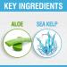 CHI HydrateCare Hydrating Conditioner - Moisture Balance & Damage Protection Sulfate-Free Paraben-Free Cruelty-Free 12 Oz Shop Internationally - Buy Online on GoSupps.com