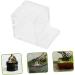 VILLFUL Pet Water Feeder Ants Drinking Tool Ants Water Feeding Bowl Small Ants Feeder Insect Feeder Plastic - Buy Online on GoSupps.com
