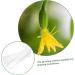 Toddmomy 3pcs Vegetable Shaping Vegetables Fruit Stereotypes Molds Shaper Garden Tools Pizza - Buy Online on GoSupps.com