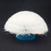 Spin Scrubber Replacement Brushes Heads- Pack of 3 - Buy Online on GoSupps.com